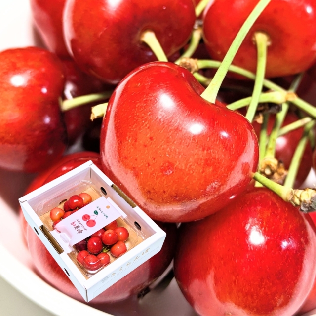 予約[P-12] 山形県産 紅秀峰 フードパック 1入