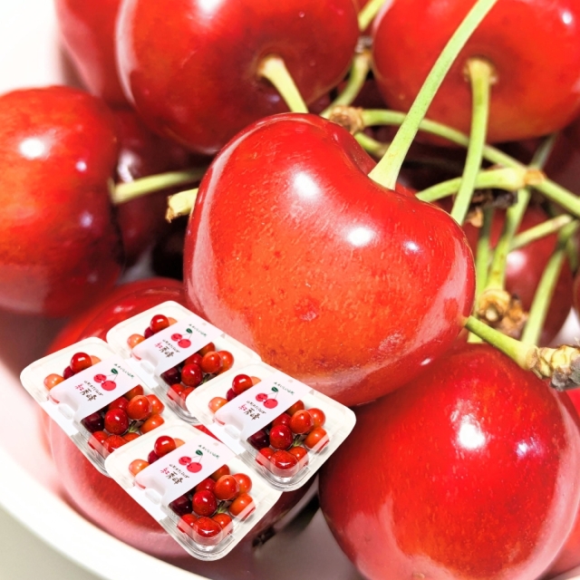 予約[P-10] 山形県産 紅秀峰 フードパック 4入