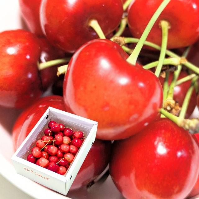 予約[P-2] 山形県産 紅秀峰バラ詰め 500g