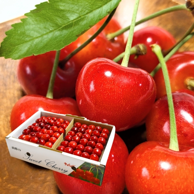 予約[P-6] 山形県産 紅秀峰 並び詰め1kg L以上