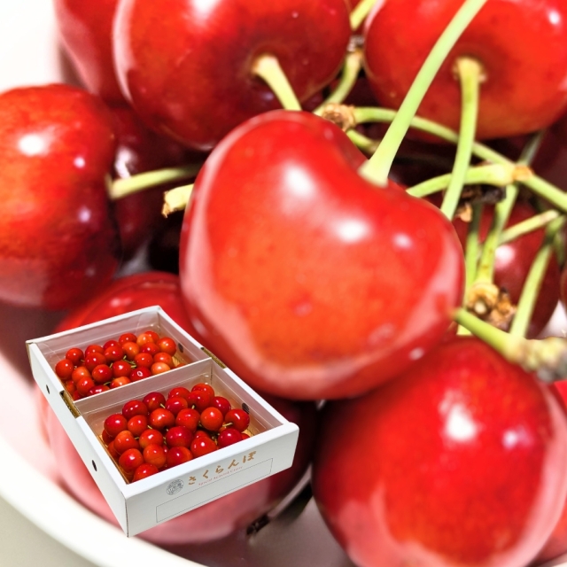 予約[P-8] 山形県産 紅秀峰 バラ詰め 700g