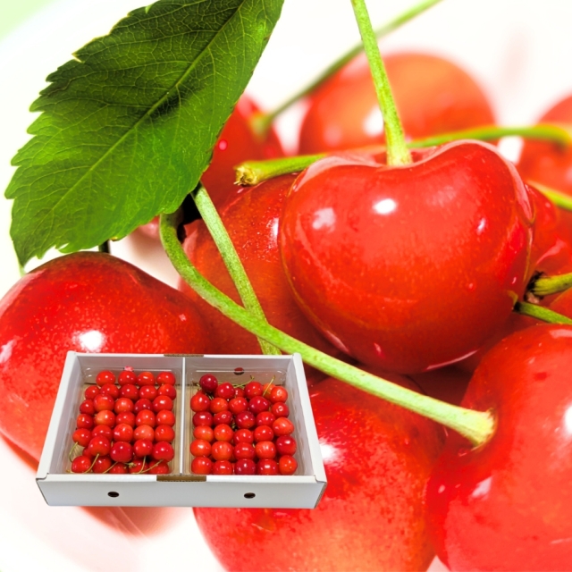 予約[Z-13] 山形県産 佐藤錦バラ詰め700g