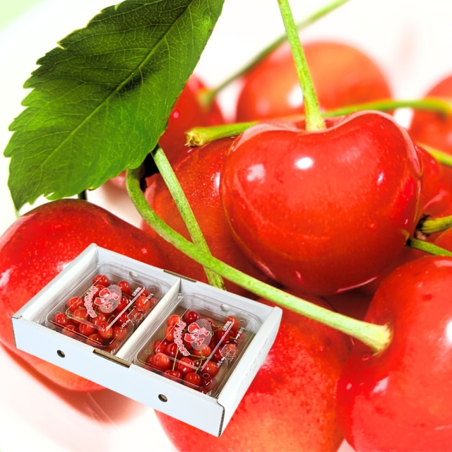 予約[Z-22] 山形県産 佐藤錦 フードパック2入