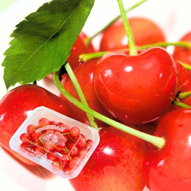 予約[Z-23] 山形県産 佐藤錦 フードパック1入