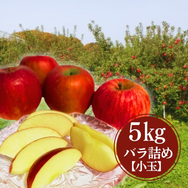 豊田のふじりんご 小玉 5kg