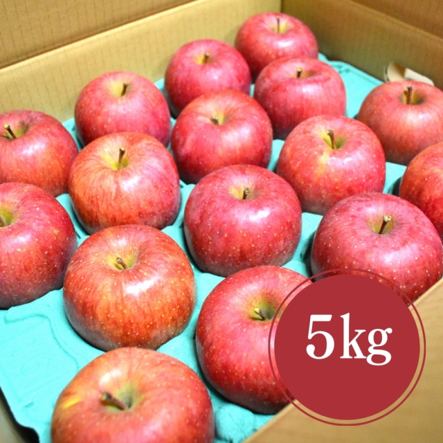 予約-山形産ふじりんご5kg並び詰め