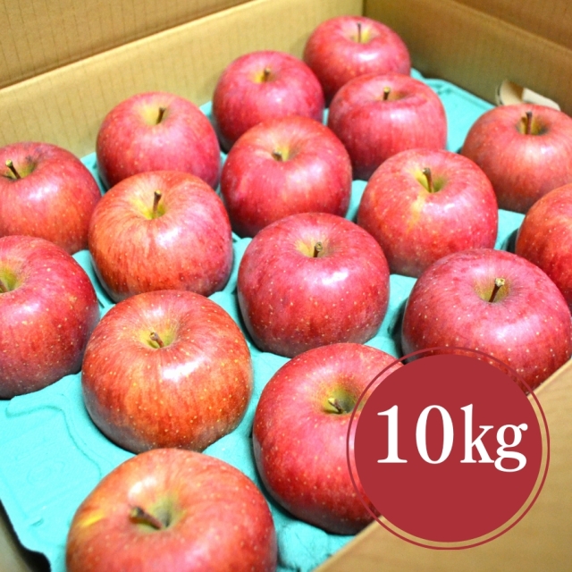 予約-山形産ふじりんご10kg並び詰め