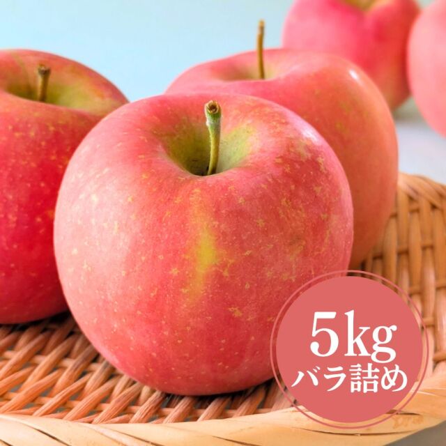 豊田のりんご 早生ふじ5kgバラ詰