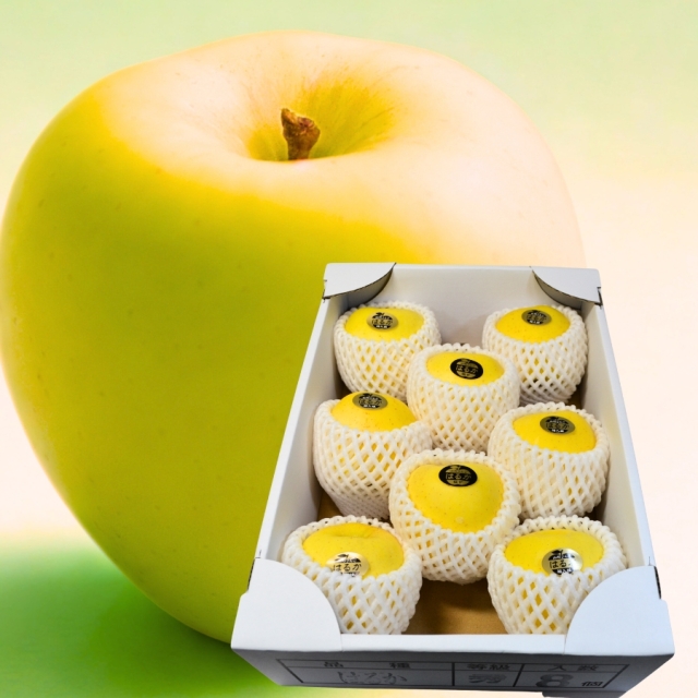 山形産 りんご はるか3kg