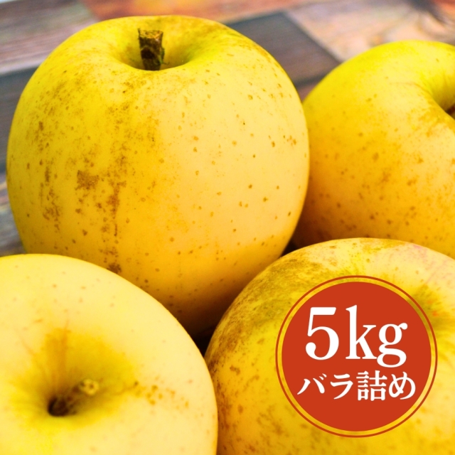 山形産 無袋 はるか5kg 家庭用