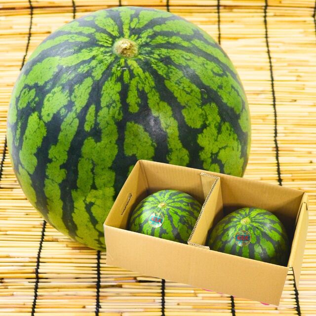 尾花沢すいか 2玉（L〜M玉）