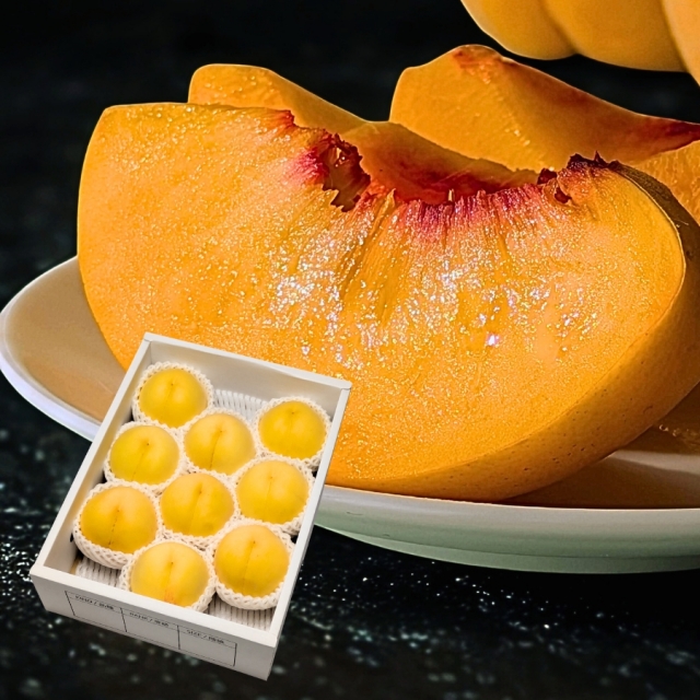 黄桃3kg 品種おまかせ