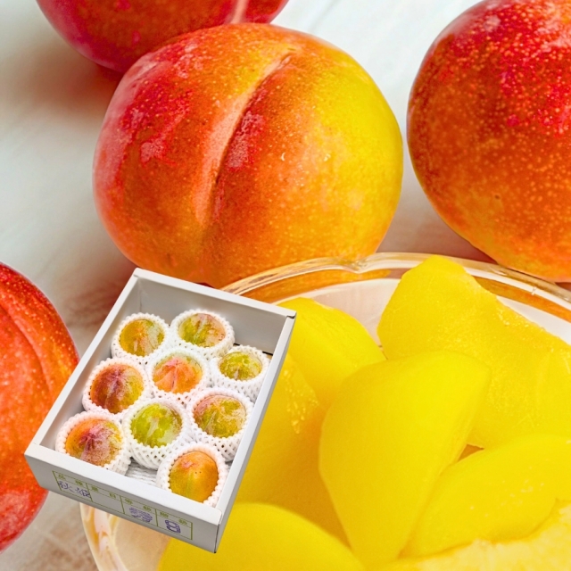 すもも秋姫 約1.2kg