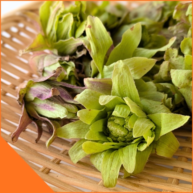 [S-17]天然ふきのとう100g×3パック