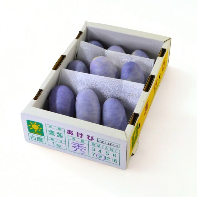 予約-あけび1kg やまがた朝日屋