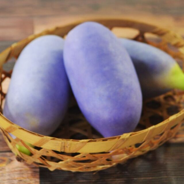 予約-あけび1kg やまがた朝日屋