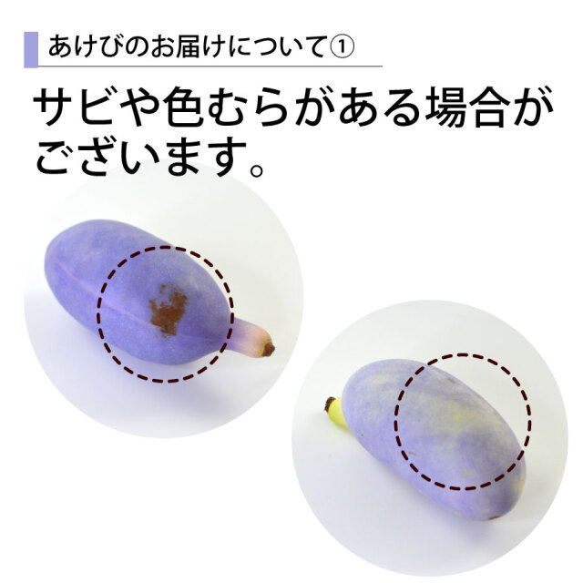 予約-あけび1kg やまがた朝日屋
