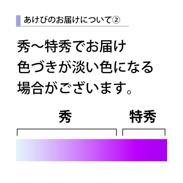 予約-あけび1kg やまがた朝日屋