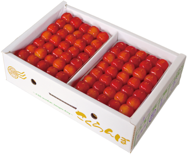 予約[E-1] 天野農園 佐藤錦 並び詰め1kg L玉