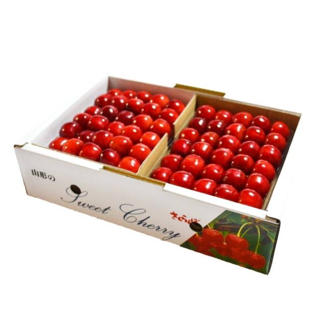 ホームページ2020