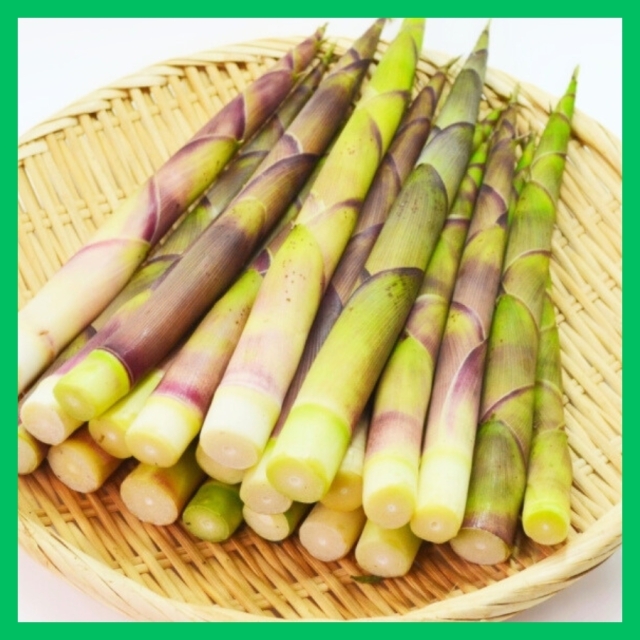 [S-15]天然 月山竹1kg