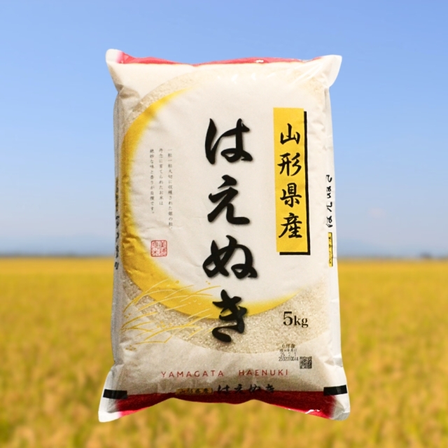 令和7年産 新米 山形県産はえぬき5kg
