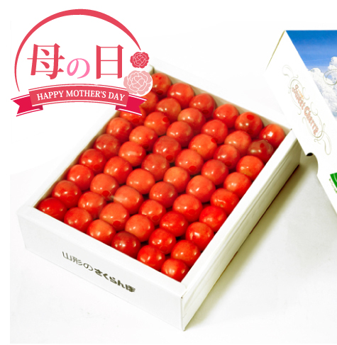 [母の日]佐藤錦500g 特秀（5/9〜5/11着）