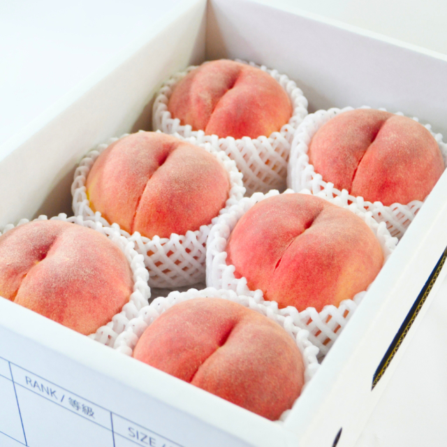 白桃2kg 品種おまかせ