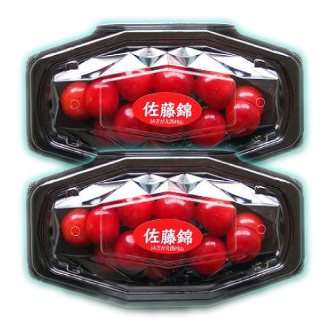 温室さくらんぼ佐藤錦100g きららパック2入