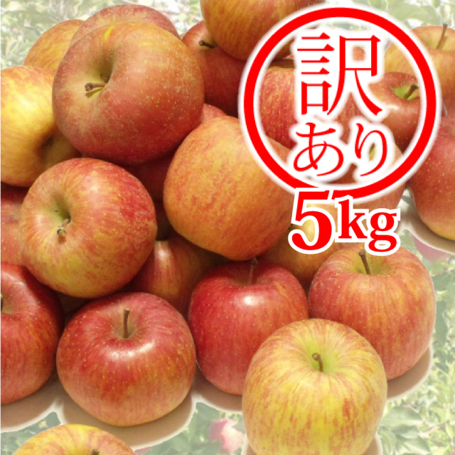 ＜訳あり＞山形産ふじりんご5kgバラ詰