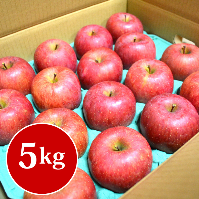 【R-11】山形産ふじりんご5kg 秀 18〜14玉