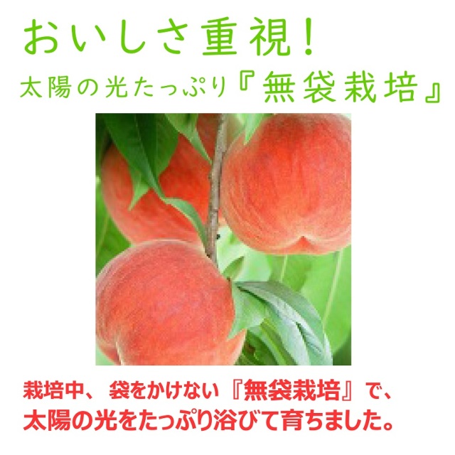 おどろき桃5kg やまがた朝日屋