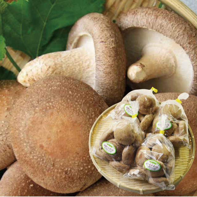 小国町産 生しいたけ4袋セット