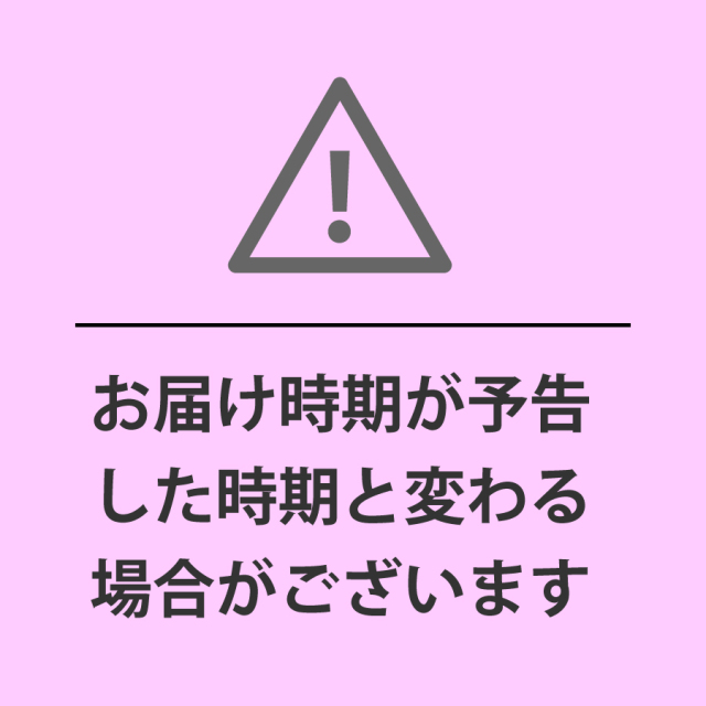S-3]天然こごみ500g やまがた朝日屋