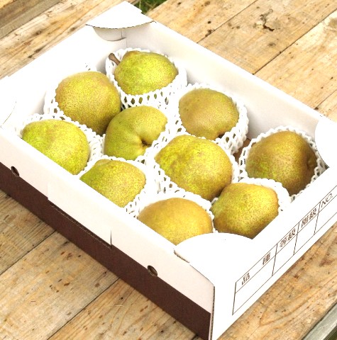 遅もぎラフランス3kg