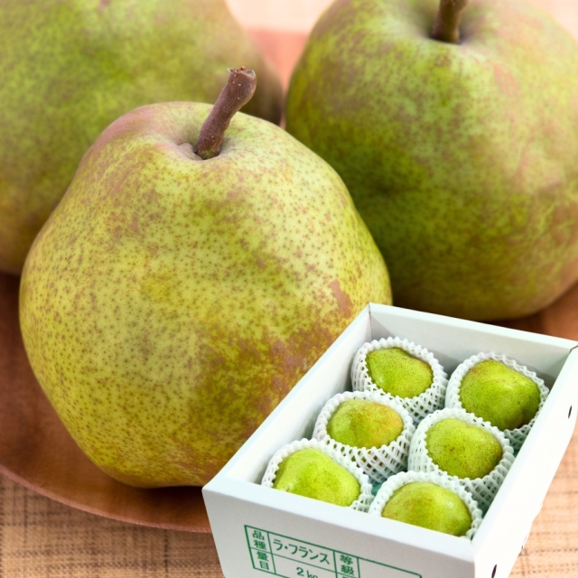 山形県産ラフランス2kg （3L前後）