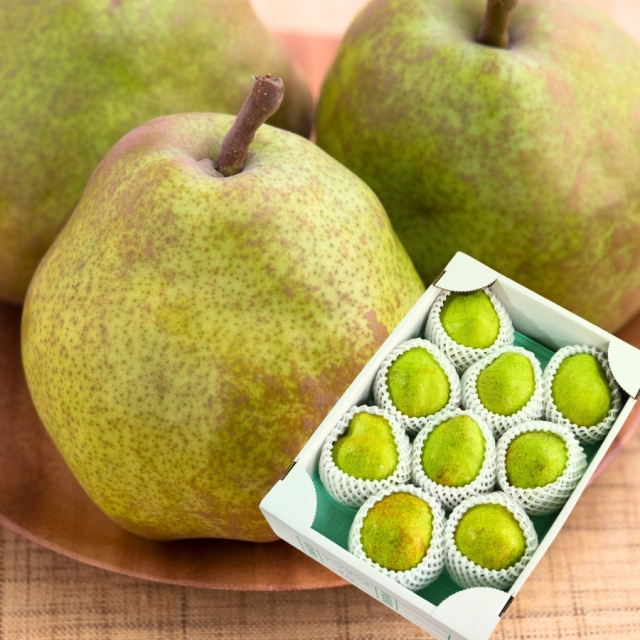 山形県産ラフランス3kg （3L前後）