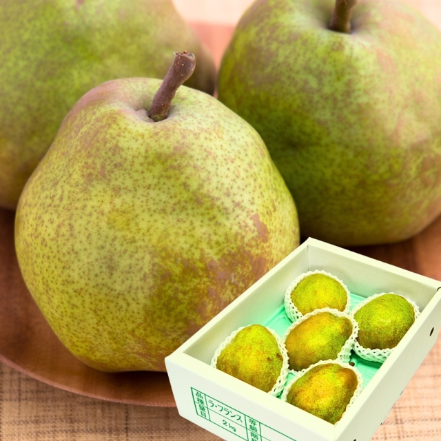 山形県産ラフランス2kg （5L前後）