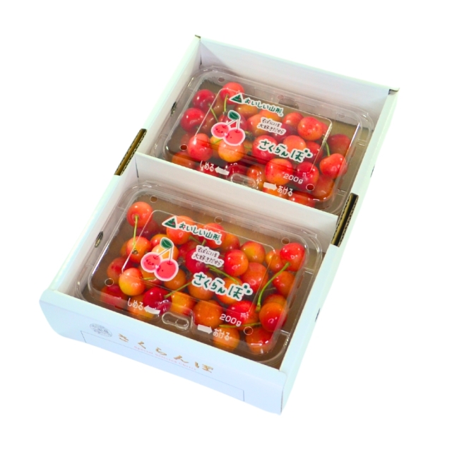 予約[Z-17] 訳あり 山形県産 佐藤錦200gパック 2入