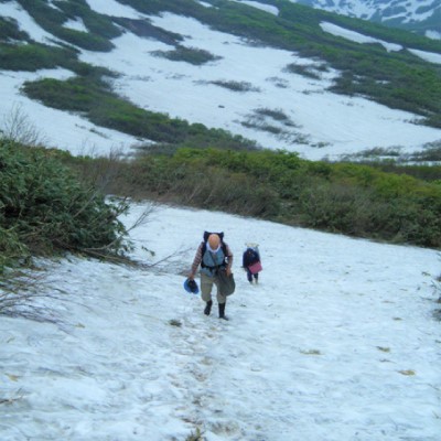 ホームページ2020