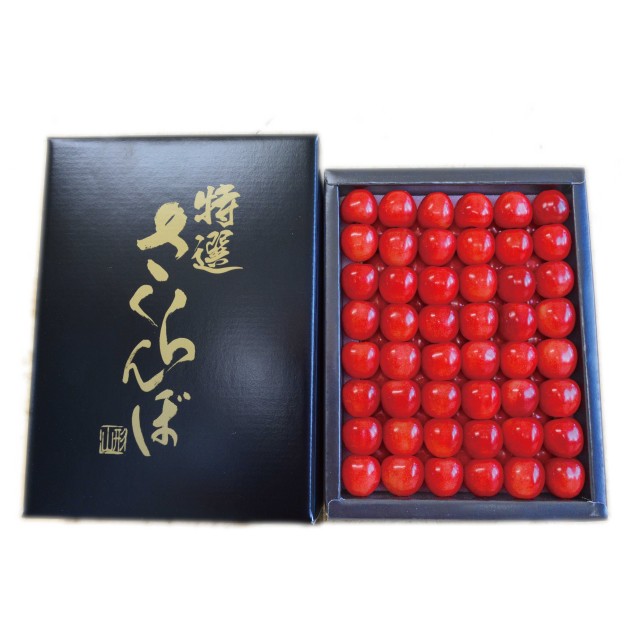 予約[Z-12] 山形県産 佐藤錦 鏡詰め500g  L以上