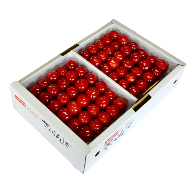 [Z-8] 山形県産 佐藤錦 並び詰め 1kg 2L