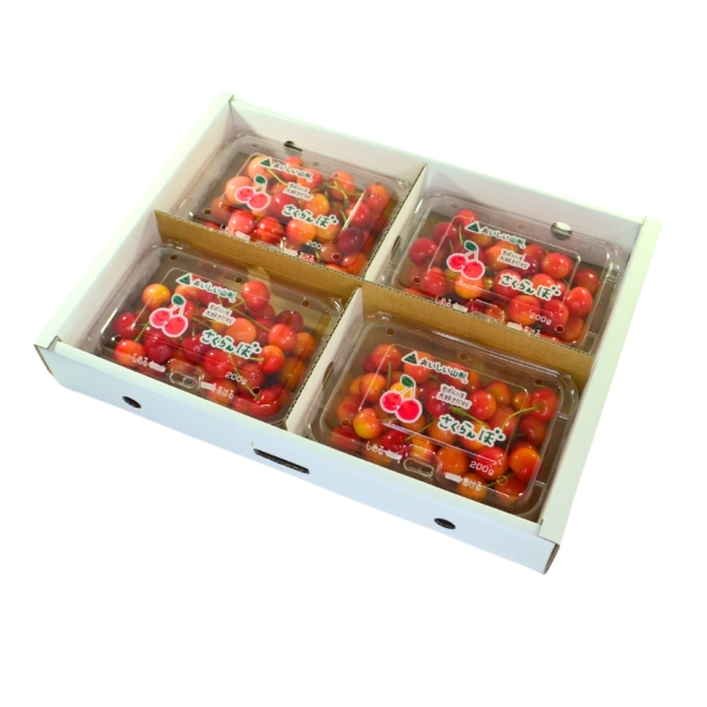 佐藤錦200gパック