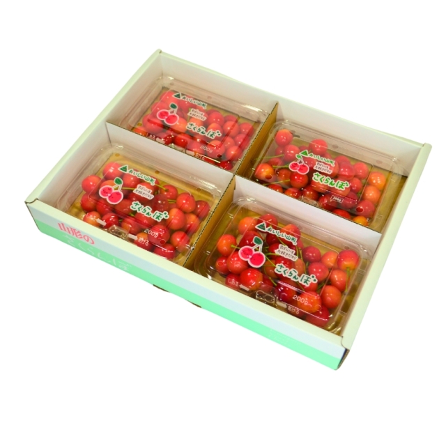 予約[Z-19] 山形県産 佐藤錦バラ詰め 200gパック4入 L以上