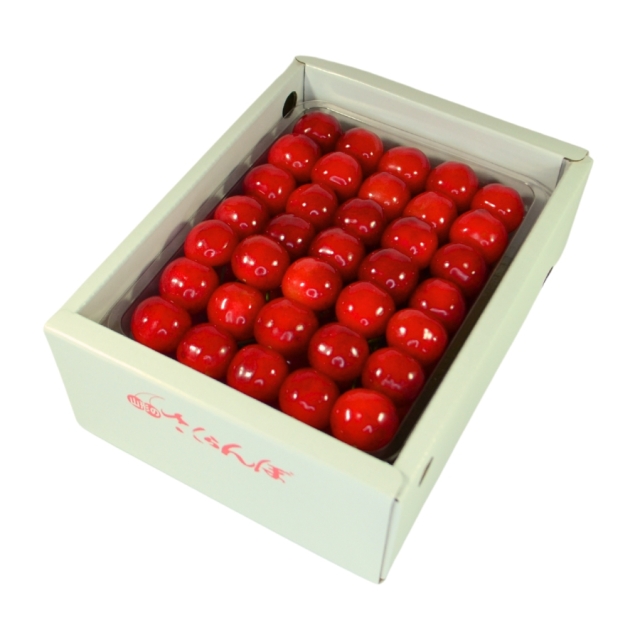 予約[Z-18] 山形県産 佐藤錦 並び詰め 500g L以上