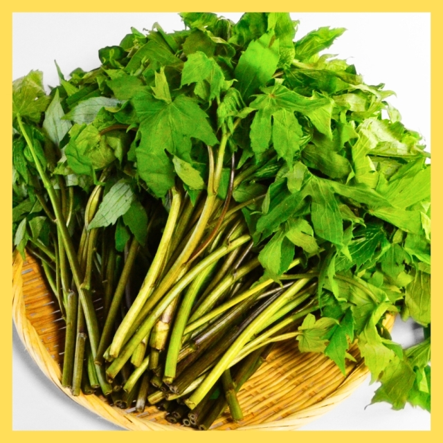 [S-6]天然しどけ5束