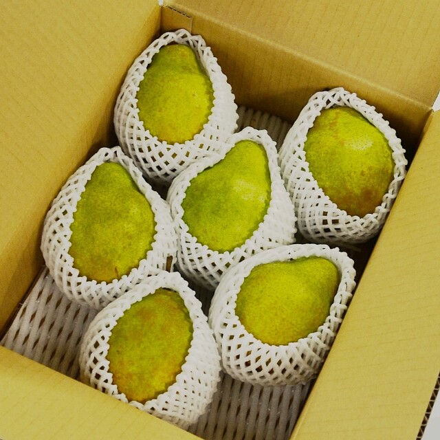 山形県産シルバーベル3kg