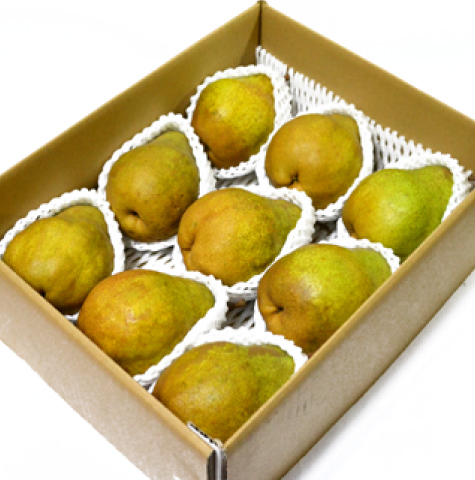 山形県産シルバーベル5kg