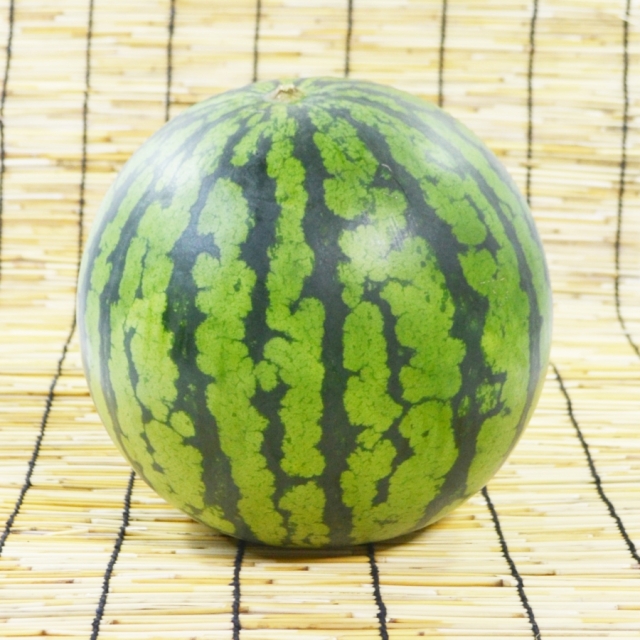 尾花沢すいか L-M玉 2玉