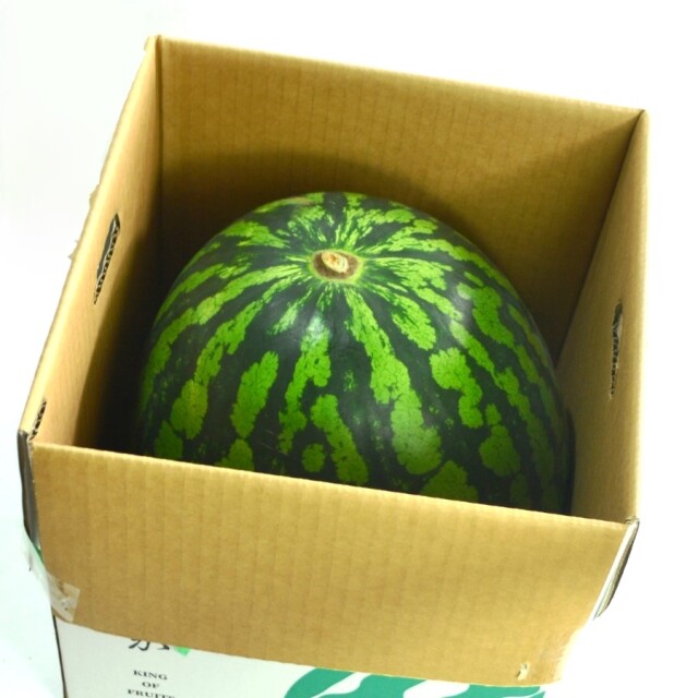 尾花沢すいか 1玉 （5L以上）